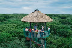 HCM City highlights local cultures to ignite urban tourism
