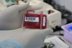 National hematology institute expands stem cell collection services