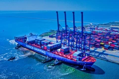 Vietnam moves to develop merchant cargo fleet