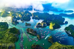 An aerial view of Cat Ba islands (Photo: VietnamPlus)