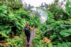 Localities accelerate digital transformation in tourism