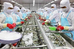 Restoration efforts help promote sustainable growth for fisheries sector
