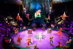 Circus “superpowers” to host int’l circus festival in Hanoi