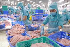 US largest importer of Vietnamese agricultural products in Q1