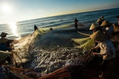 Removal of fishing “yellow card” an urgent task: Deputy PM