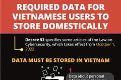 Required data for Vietnamese users to store domestically