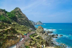 Central provinces co-organise 1 tour-3 destinations for int’l guests