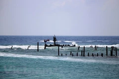 Vietnam topography huge potential for wind power development