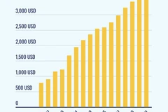 Vietnam among countries with most impressive GDP per capita growth: Forbes 