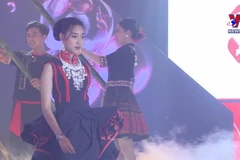Promoting Vietnamese tourism via fashion