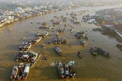 Development plan for Mekong Delta in 2021-2030 approved