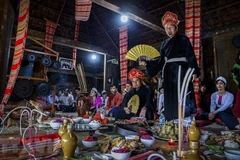 Hanoi seeks UNESCO's recognition for Mo Muong
