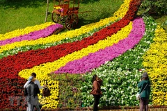 Da Lat Flower Festival kicks off