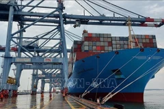 Project to develop international merchant fleet in the pipeline