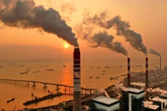 Vietnam takes steps towards carbon credit market