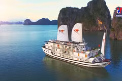 International web searches for Vietnam tourism remain high
