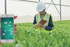 High-tech, organic farming improves quality, cuts cost of agriculture