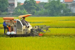 Plan to implement Secretariat's directive on sustainable poverty reduction
