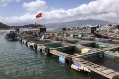 Vietnam issues national plan on aquaculture development for 2021-2030