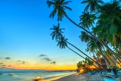 Visit Vietnam Year 2023 promotes green tourism