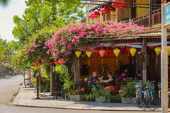 Hoi An set to become eco-cultural-tourism city 