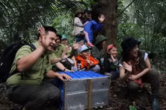 ‘Forest school’ helps spread love for nature