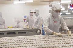 Bac Lieu develops shrimp value chain with hi-tech farming models