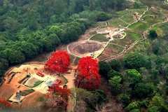 Dien Bien Phu relic site holds historical significance