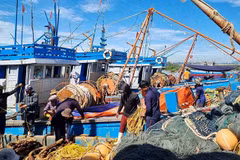 Vietnam gives weight to protecting and developing aquatic resources. (Photo: baochinhphu)