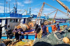 Vietnam gives weight to protecting and developing aquatic resources. (Photo: baochinhphu)