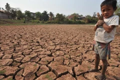 Extreme drought in Laos caused by climate change (Photo: theguardian.com)