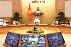 Deputy PM Tran Luu Quang at the online conference (Photo: VNA)