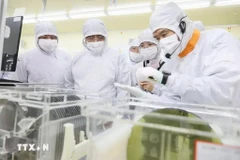 Vietnam gives priority to developing human resources in the area of AI and semiconductor. (Photo: VNA)