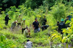 Buffer zone communities will receive a financial support of some 50 million VND a year. (Photo: VNA)