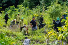Buffer zone communities will receive a financial support of some 50 million VND a year. (Photo: VNA)