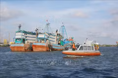 Ba Ria - Vung Tau has exerted efforts to fight IUU fishing. (Photo: VNA)