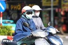 Vietnam is likely to hit by prolonged heat waves next year. (Photo: VNA)