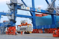 At a port in the northern region (Photo: VietnamPlus)
