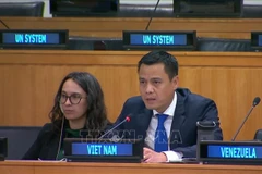 Ambassador Dang Hoang Giang, Permanent Representative of Vietnam to the UN (Photo: VNA)