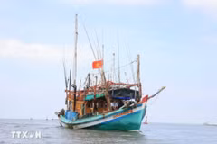 Ca Mau province is stepping up measures to fight against IUU fishing. (Photo: VNA)