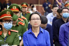 Truong My Lan at the the appellate trial in Ho Chi Minh City on November 15 (Photo: VNA)