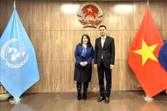 Ambassador Dang Hoang Giang (R) and Director of UNICEF’s Public Partnerships Division June Kunugi (Photo: VNA)