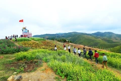 Pha Din Pass - attactive site in northwestern region