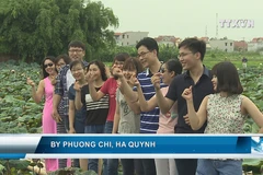 Lotus lake eases summer heat