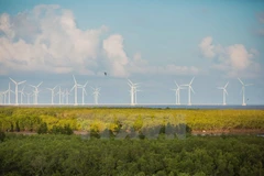 Tourism attractions in southern Bac Lieu province