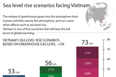 Sea level rise scenarios facing Vietnam