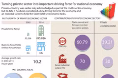 Turning private sector into important driving force for economy
