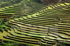 Beauty of Dien Bien’s high mountain villages