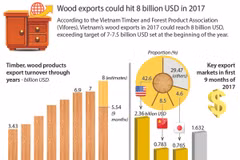 Wood exports could hit 8 billion USD in 2017