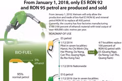 Only E5 RON 92, RON 95 petrol sold from 2018